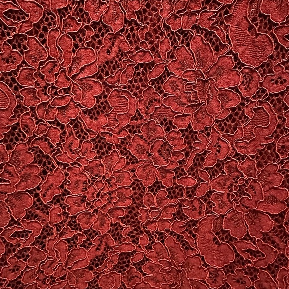 Express Midi Lace Burgundy Cocktail Dress XL - Picture 5 of 5